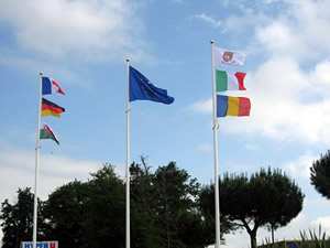 flags